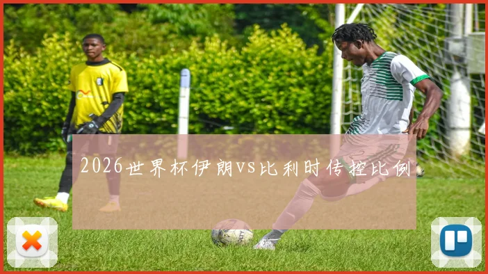 2026世界杯伊朗vs比利时传控比例
