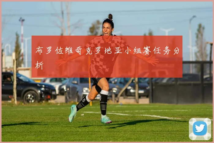 布罗佐维奇克罗地亚小组赛任务分析