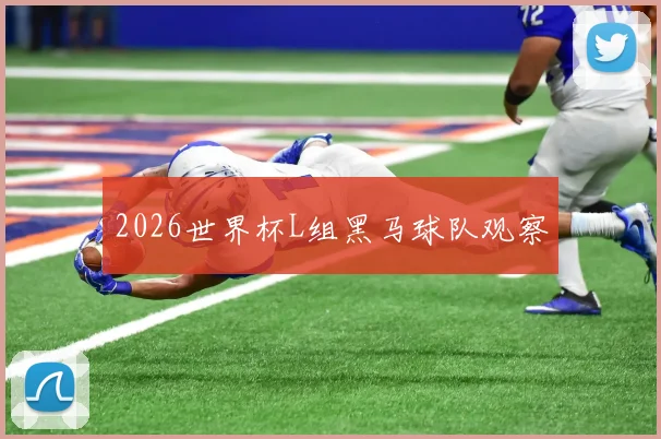 2026世界杯L组黑马球队观察