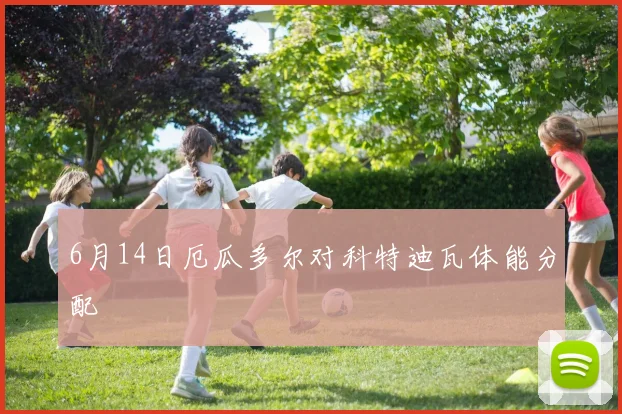 6月14日厄瓜多尔对科特迪瓦体能分配