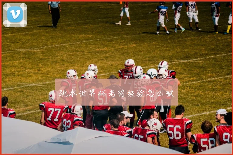 跳水世界杯老将经验怎么破