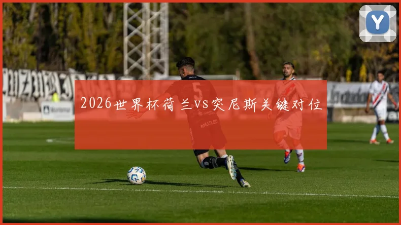 2026世界杯荷兰vs突尼斯关键对位