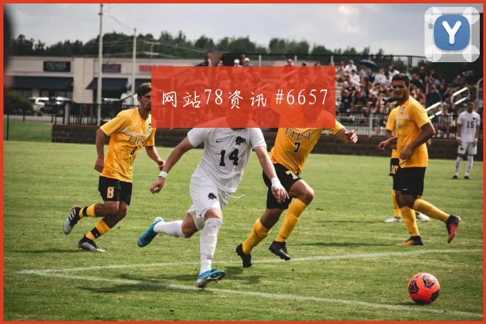 2026世界杯科特迪瓦vs厄瓜多尔后腰保护
