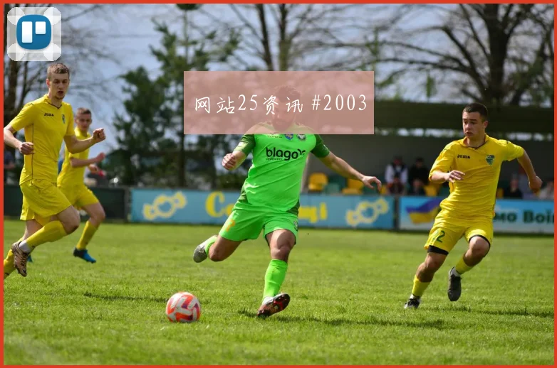 麦卡利斯特2026世界杯助攻数据预测