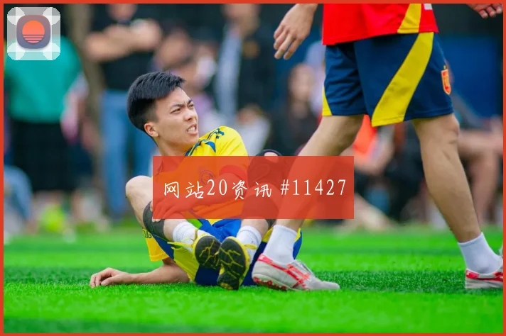 赖斯面对克罗地亚队能否完成关键传球传球线路解读