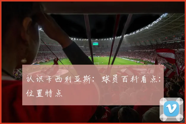 认识卡西利亚斯：球员百科看点：位置特点