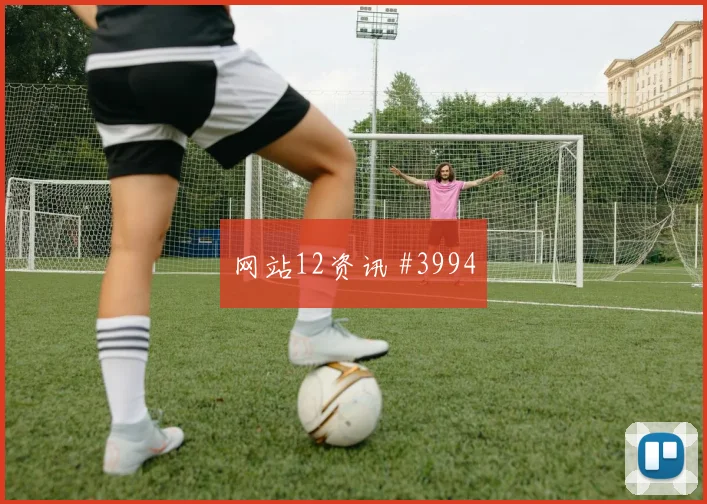 2026世界杯葡萄牙vs刚果金后腰保护
